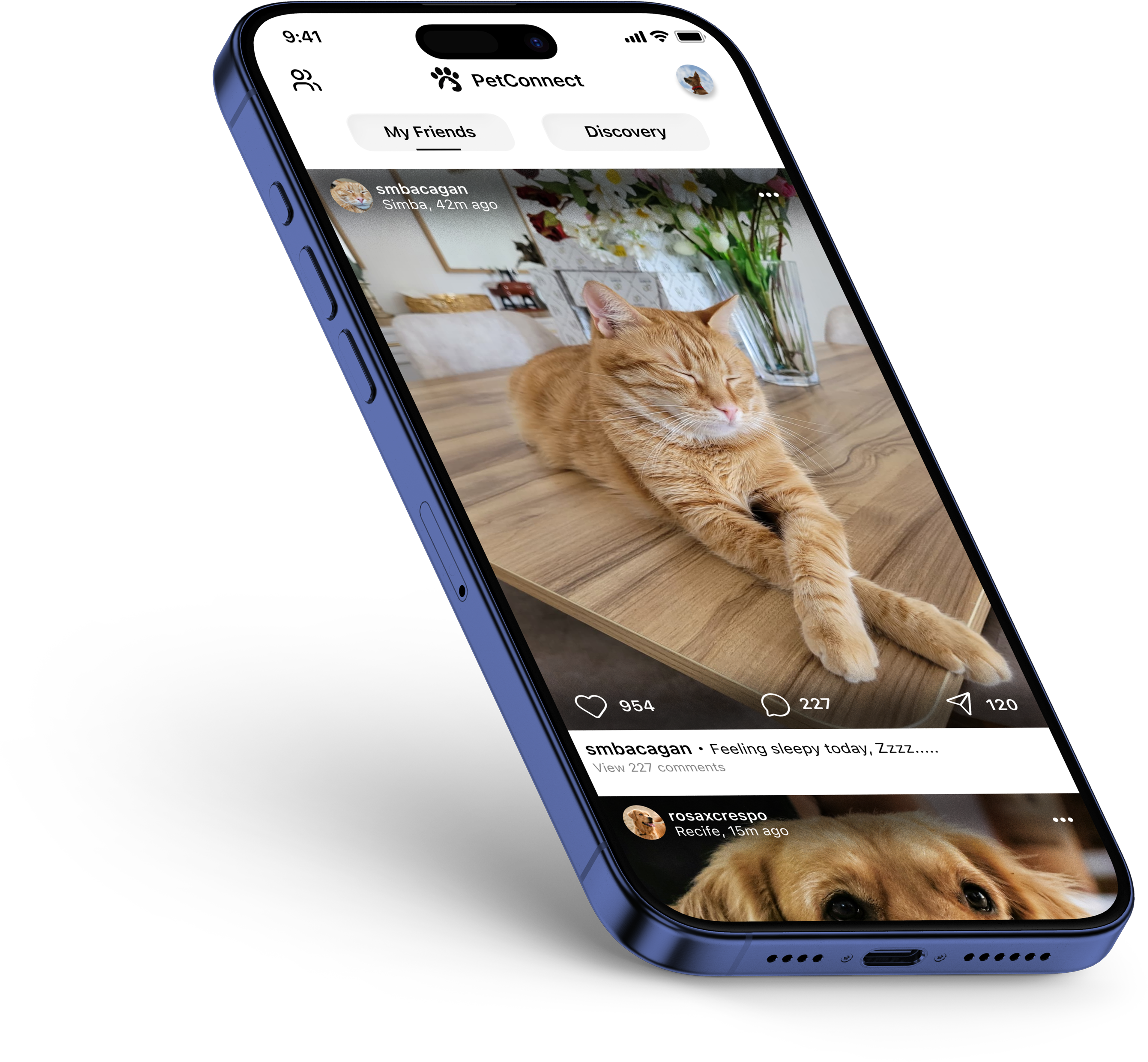 PetConnect App